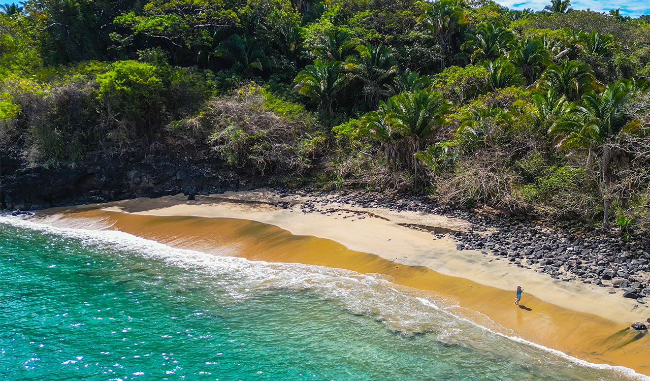 Riviera Nayarit: A Treasure on the Pacific Coast of Mexico